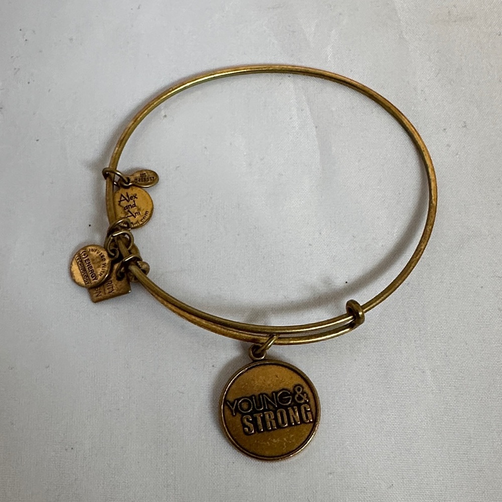 Alex and Ani Gold Bracelet with Charms
